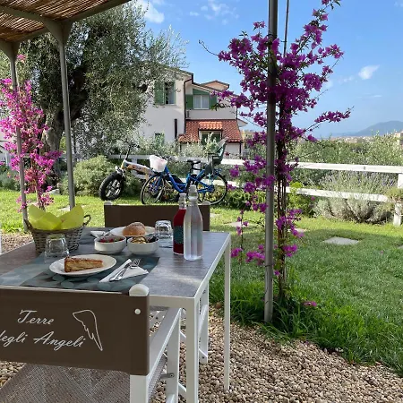 Appartamento Lavanda 